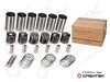 Поршневая группа WD12,WD618 CREATEK