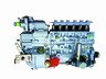 ТНВД WP10 Евро-2 (LEO Trade) LEO100280A