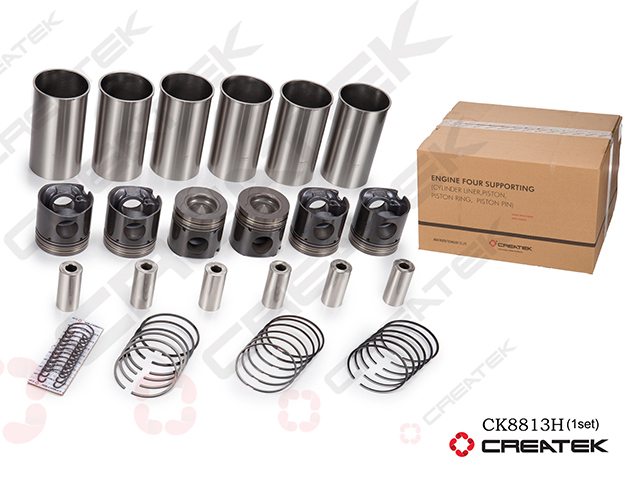 Поршневая группа Евро-2 (WP10 EGR) F3000 , шт