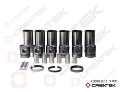 Поршневая группа D12 , шт