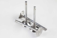 Клапан выпускной WD615  WP10 (комплект) D=50mm